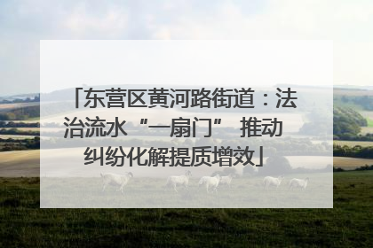 东营区黄河路街道：法治流水“一扇门” 推动纠纷化解提质增效
