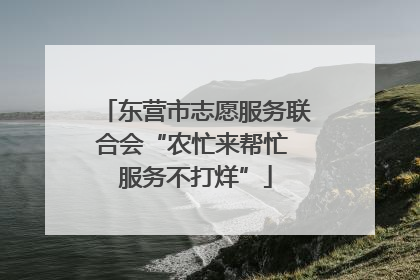 东营市志愿服务联合会“农忙来帮忙 服务不打烊”