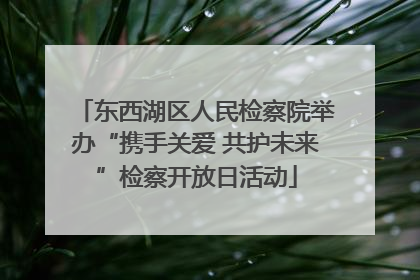 东西湖区人民检察院举办“携手关爱 共护未来”检察开放日活动