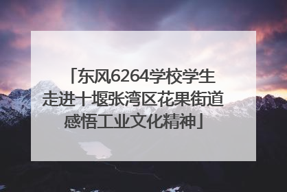 东风6264学校学生走进十堰张湾区花果街道感悟工业文化精神
