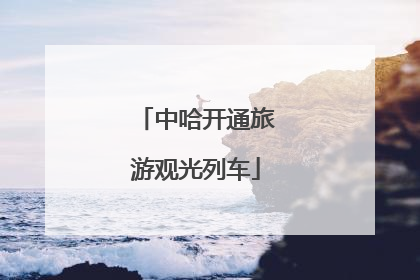 中哈开通旅游观光列车