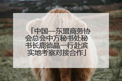 中国—东盟商务协会总会中方秘书处秘书长鹿德晶一行赴滨实地考察对接合作