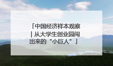 中国经济样本观察｜从大学生创业园闯出来的“小巨人”