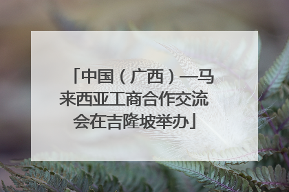 中国（广西）—马来西亚工商合作交流会在吉隆坡举办