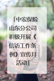 中宏保险山东分公司积极开展《信访工作条例》宣传月活动