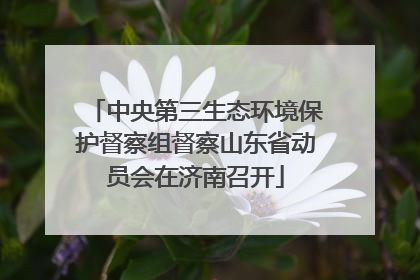 中央第三生态环境保护督察组督察山东省动员会在济南召开