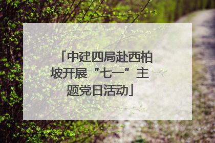 中建四局赴西柏坡开展“七一”主题党日活动