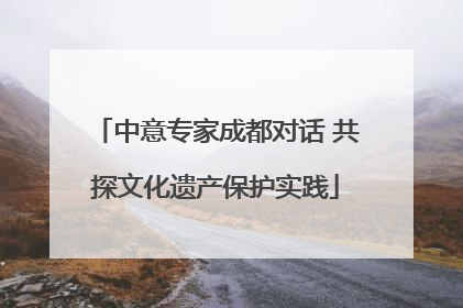 中意专家成都对话 共探文化遗产保护实践