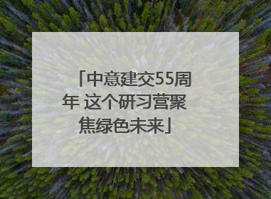 中意建交55周年 这个研习营聚焦绿色未来