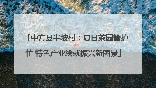 中方县半坡村：夏日茶园管护忙 特色产业绘就振兴新图景