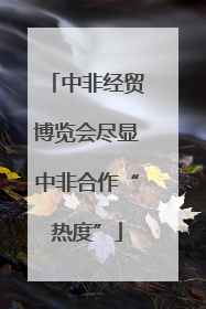 中非经贸博览会尽显中非合作“热度”
