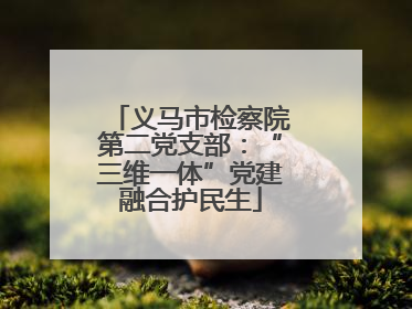 义马市检察院第二党支部：“三维一体”党建融合护民生