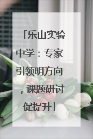 乐山实验中学：专家引领明方向，课题研讨促提升