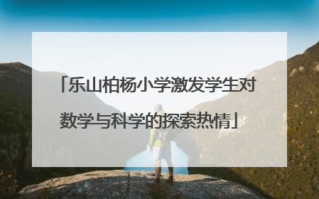 乐山柏杨小学激发学生对数学与科学的探索热情