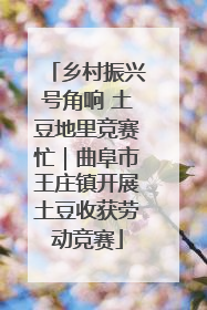 乡村振兴号角响 土豆地里竞赛忙｜曲阜市王庄镇开展土豆收获劳动竞赛