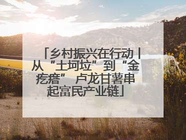 乡村振兴在行动丨从“土坷垃”到“金疙瘩” 卢龙甘薯串起富民产业链