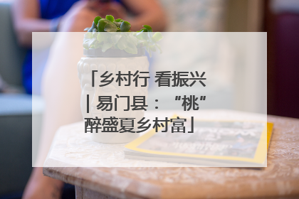 乡村行 看振兴｜易门县：“桃”醉盛夏乡村富