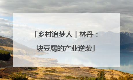 乡村追梦人｜林丹：一块豆腐的产业逆袭