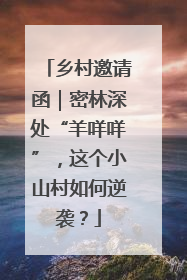 乡村邀请函｜密林深处“羊咩咩”，这个小山村如何逆袭？