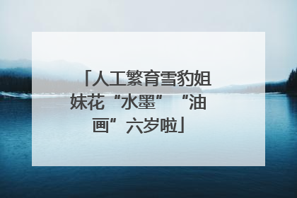 人工繁育雪豹姐妹花“水墨”“油画”六岁啦