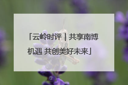 云岭时评｜共享南博机遇 共创美好未来