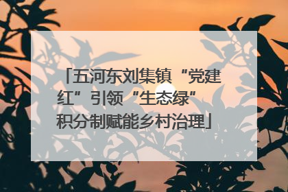 五河东刘集镇“党建红”引领“生态绿” 积分制赋能乡村治理