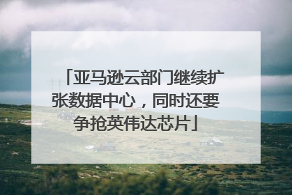 亚马逊云部门继续扩张数据中心，同时还要争抢英伟达芯片