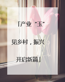 产业“玉”见乡村，振兴开启新篇