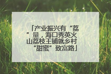 产业振兴有“荔”量，海口秀英火山荔枝王铺就乡村“甜蜜”致富路