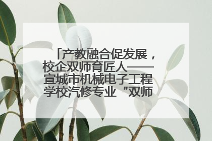 产教融合促发展，校企双师育匠人——宣城市机械电子工程学校汽修专业“双师”教学月活动收官