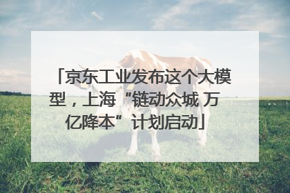 京东工业发布这个大模型，上海“链动众城 万亿降本”计划启动