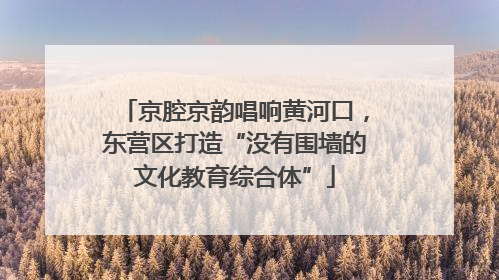 京腔京韵唱响黄河口，东营区打造“没有围墙的文化教育综合体”