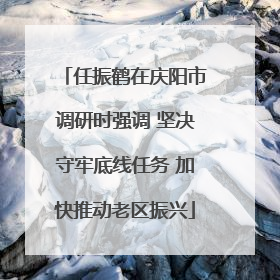任振鹤在庆阳市调研时强调 坚决守牢底线任务 加快推动老区振兴