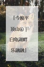 今晚平顶山⑥｜白龟湖畔乐融融