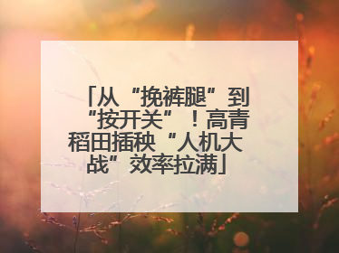 从“挽裤腿”到“按开关”！高青稻田插秧“人机大战”效率拉满