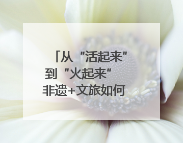 从“活起来”到“火起来” 非遗+文旅如何戳中人心？｜文旅融合看四川