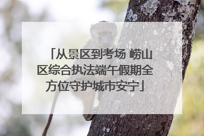 从景区到考场 崂山区综合执法端午假期全方位守护城市安宁