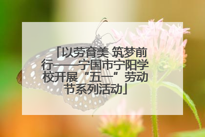 以劳育美 筑梦前行——宁国市宁阳学校开展“五一”劳动节系列活动