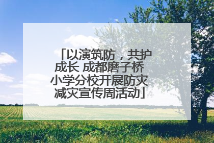 以演筑防，共护成长 成都磨子桥小学分校开展防灾减灾宣传周活动