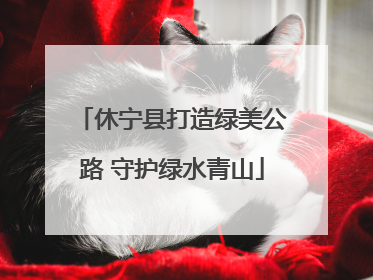 休宁县打造绿美公路 守护绿水青山