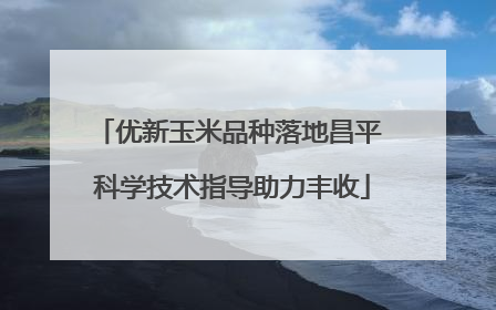 优新玉米品种落地昌平 科学技术指导助力丰收