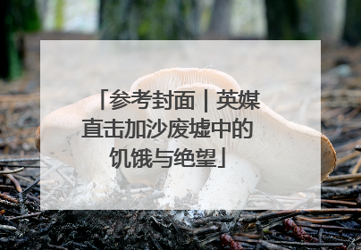 参考封面｜英媒直击加沙废墟中的饥饿与绝望