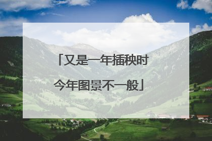 又是一年插秧时 今年图景不一般