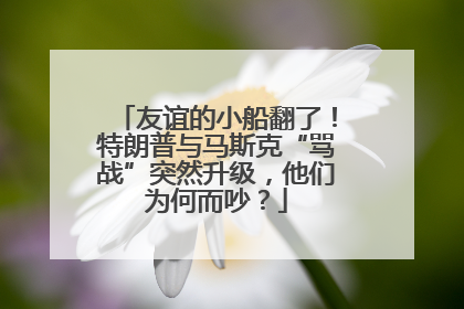 友谊的小船翻了！特朗普与马斯克“骂战”突然升级，他们为何而吵？