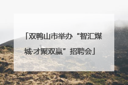双鸭山市举办“智汇煤城·才聚双赢”招聘会