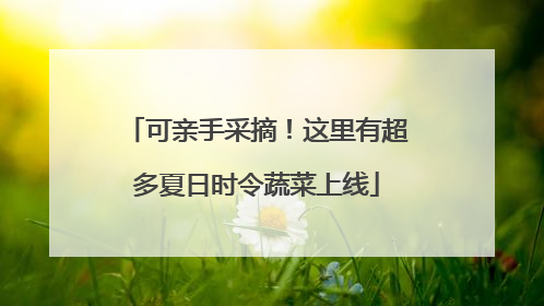 可亲手采摘！这里有超多夏日时令蔬菜上线