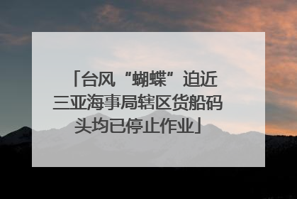台风“蝴蝶”迫近 三亚海事局辖区货船码头均已停止作业