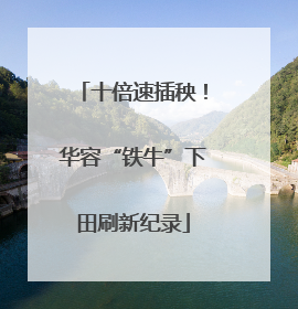 十倍速插秧！华容“铁牛”下田刷新纪录