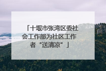 十堰市张湾区委社会工作部为社区工作者“送清凉”