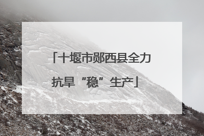 十堰市郧西县全力抗旱“稳”生产